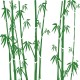 Sticker autocollant bambou 120x120 cm 