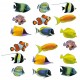 Stickers autocollant Poissons 72x73 cm