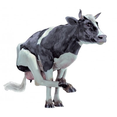 Sticker autocollant vache marrante 110x114 cm