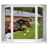 Sticker trompe l'oeil Fenêtre déco cheval 100x 120 cm.