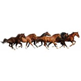 Sticker autocollant chevaux 49x203 cm
