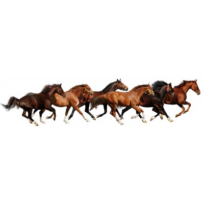 Sticker autocollant chevaux 49x203 cm