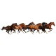 Sticker autocollant chevaux 49x203 cm