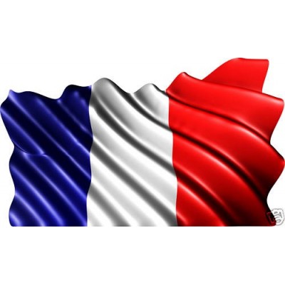 Sticker drapeau français.