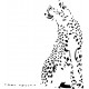 Sticker Guépard réf 2445 120x107 cm 