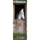 Sticker porte Cheval réf 6664 204x72 cm 