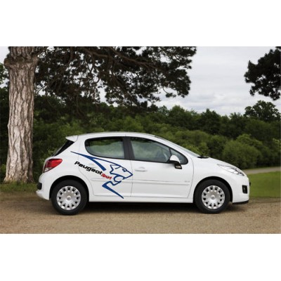 Sticker Kit Peugeot Sport 45x75 cm Réf 0022 