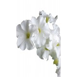 Sticker autocollant Fleur blanche 90x60 cm