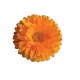 Sticker autocollant Fleur orange 75x77 cm