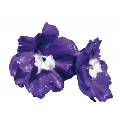 Sticker autocollant Fleurs violettes 80x103 cm