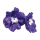 Sticker autocollant Fleurs violettes 80x103 cm