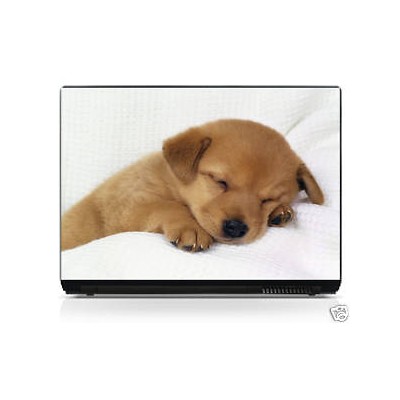 Sticker pc portable laptop skin petit Chiot 