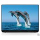 Sticker pc portable laptop skin saut Dauphins