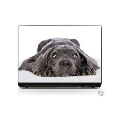 Sticker pc portable laptop skin Chien