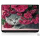 Sticker pc portable laptop skin Chaton fleur rose