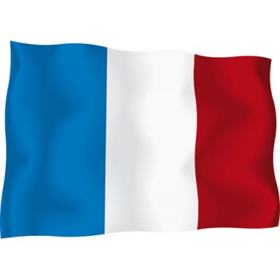 Sticker drapeau Français plat 