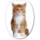 Sticker abattant WC chaton 26x34cm