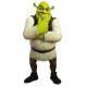 Sticker Shrek je craque 