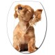 Sticker abattant WC chiot 26x34cm