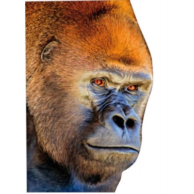 Sticker autocollant Gorille 180x120 cm