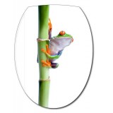 Sticker abattant WC bambou et grenouille 26x34cm