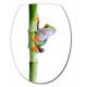 Sticker abattant WC bambou et grenouille 26x34cm