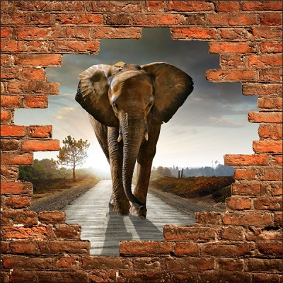 Sticker mural trompe l'oeil Eléphant briques 100x100 cm