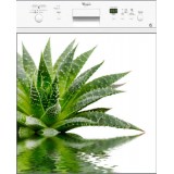 Sticker lave vaisselle plante verte 60x60 cm