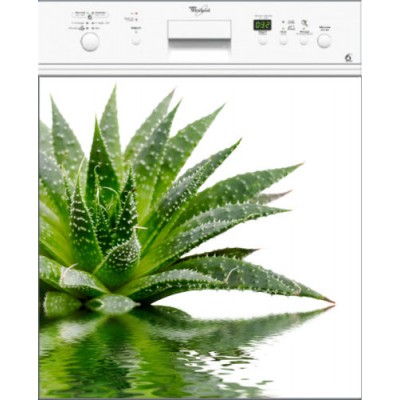 Sticker lave vaisselle décoration plante verte 60 x 60 cm.