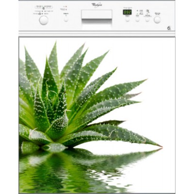 Sticker lave vaisselle décoration plante verte 60 x 60 cm.