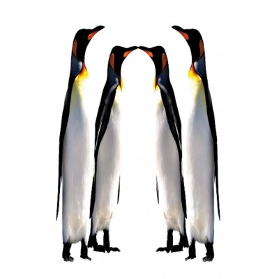 Sticker pour frigidaire déco 4 Pingouins 