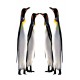 Sticker pour frigidaire déco Pingouins 60x90 cm