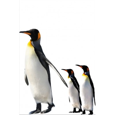 Sticker pour frigidaire déco Pingouin et ses enfants