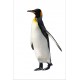 Sticker frigidaire déco Pingouin 60x90 cm