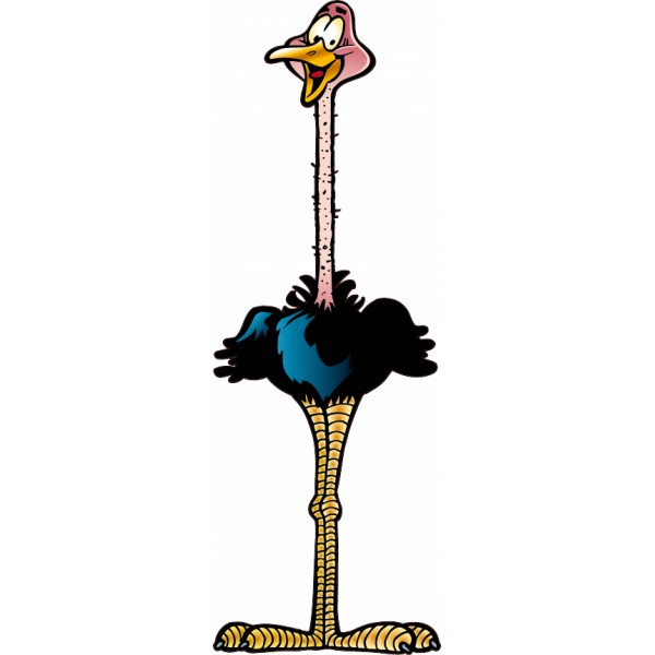 Afficher l'image d'origine