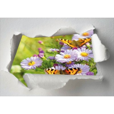 Sticker trompe l'oeil nature papillons 