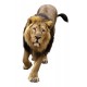 Sticker Animal Lion 130x80 cm