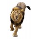 Sticker Animal Lion 130x80 cm