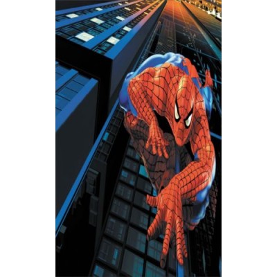 Sticker Spiderman sur bâtiment 