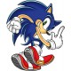 Sticker Sonic 90x75 cm.