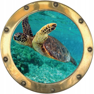 Sticker trompe l'oeil hublot déco tortue.