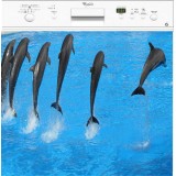 Sticker lave vaisselle déco Dauphins 60 x 60 cm.