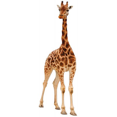Sticker autocollant Girafe 120x40 cm