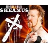 Sticker catcheur Sheamus 40x50 cm.