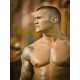 Sticker catcheur Randy Orton 2