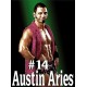 Sticker catcheur Austin Aries 120x90 cm.