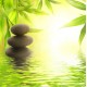 Sticker lave-vaisselle ambiance zen vert 60x60cm