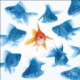 Sticker lave-vaisselle poissons 60x60cm