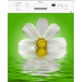 Sticker autocollant pour lave vaisselle décoration fleur 60 x 60 cm.