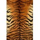 Sticker frigidaire tigre 60x90cm